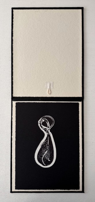 BroadsidesdriversidePhotoshopimagebyDerekIrland12