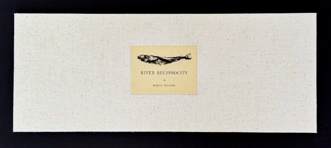 BroadsidesdriversidePhotoshopimagebyDerekIrland16