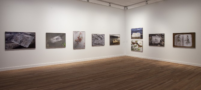 finishedvanatRailyardsArtsDistrict