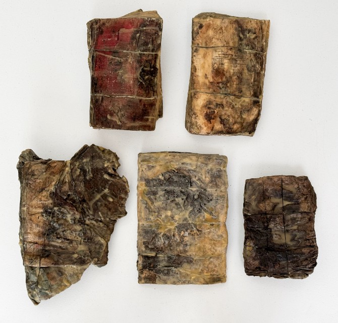 finishedvanatRailyardsArtsDistrict12