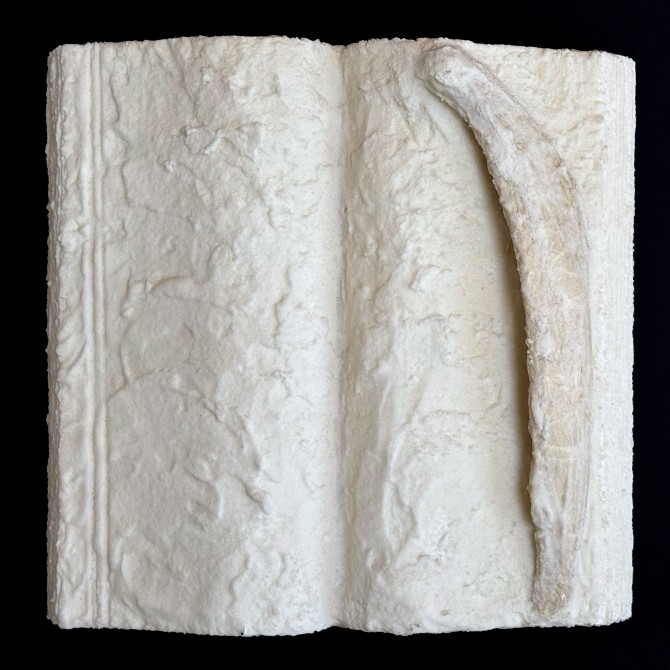 passengersideofvanphotobyAxleContemporary