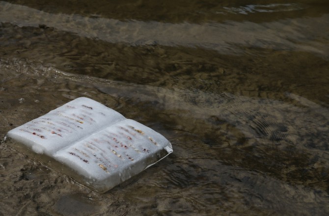 passengersideofvanphotobyAxleContemporary1