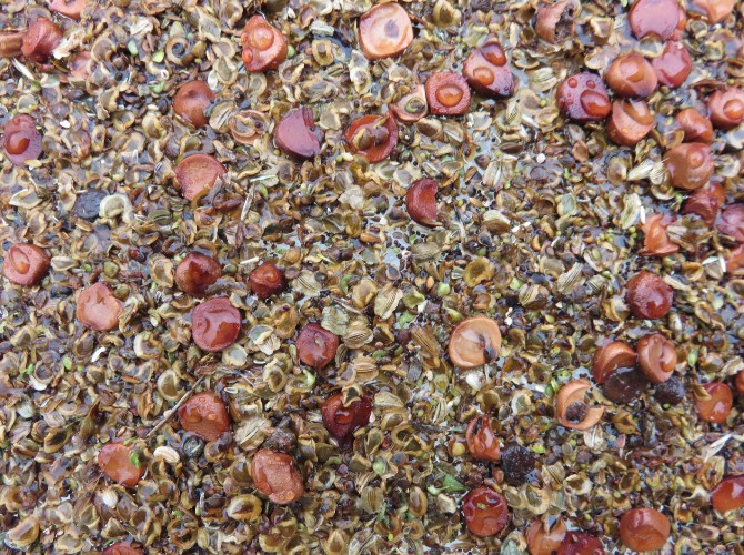 passengersideofvanphotobyAxleContemporary11