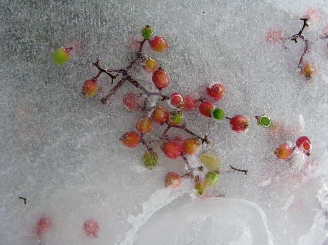 passengersideofvanphotobyAxleContemporary12