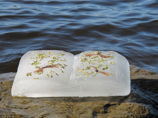 passengersideofvanphotobyAxleContemporary4