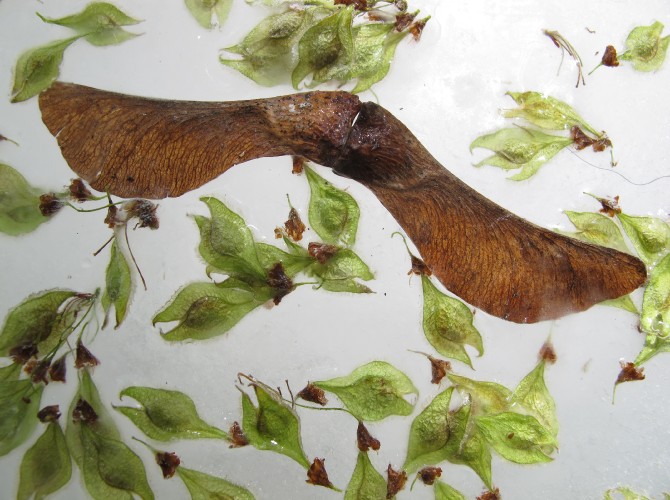 passengersideofvanphotobyAxleContemporary5