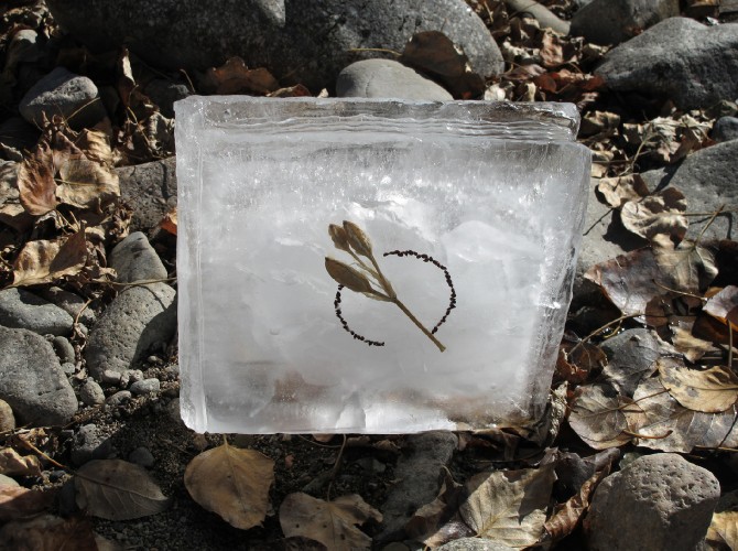 passengersideofvanphotobyAxleContemporary6