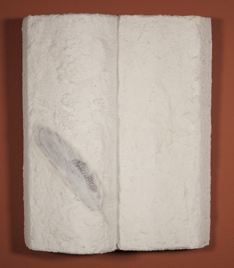 passengersideofvanphotobyAxleContemporary2