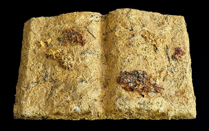 passengersideofvanphotobyAxleContemporary8